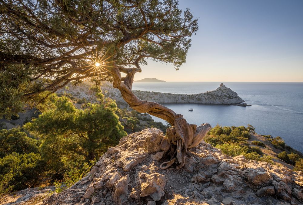 Photograph by Антон Шваин