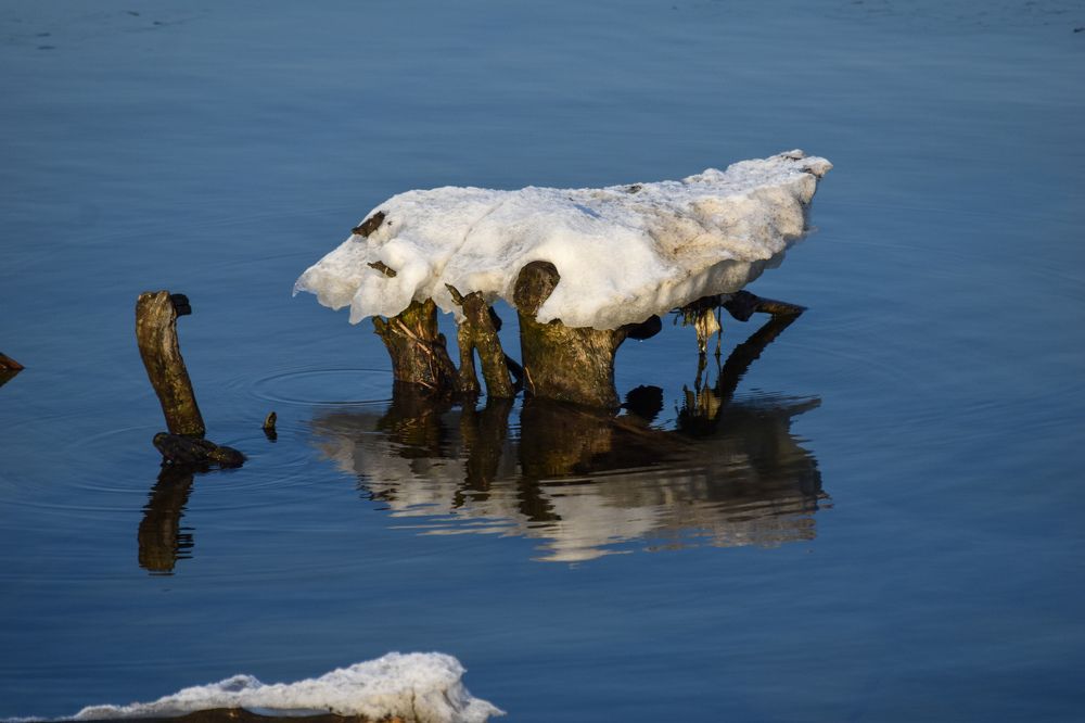 Photograph by Ирина Рыжая
