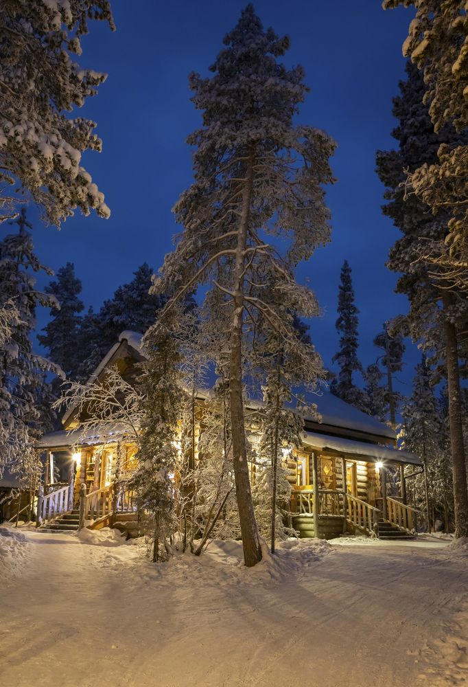 Photograph by Юлия Лазебная