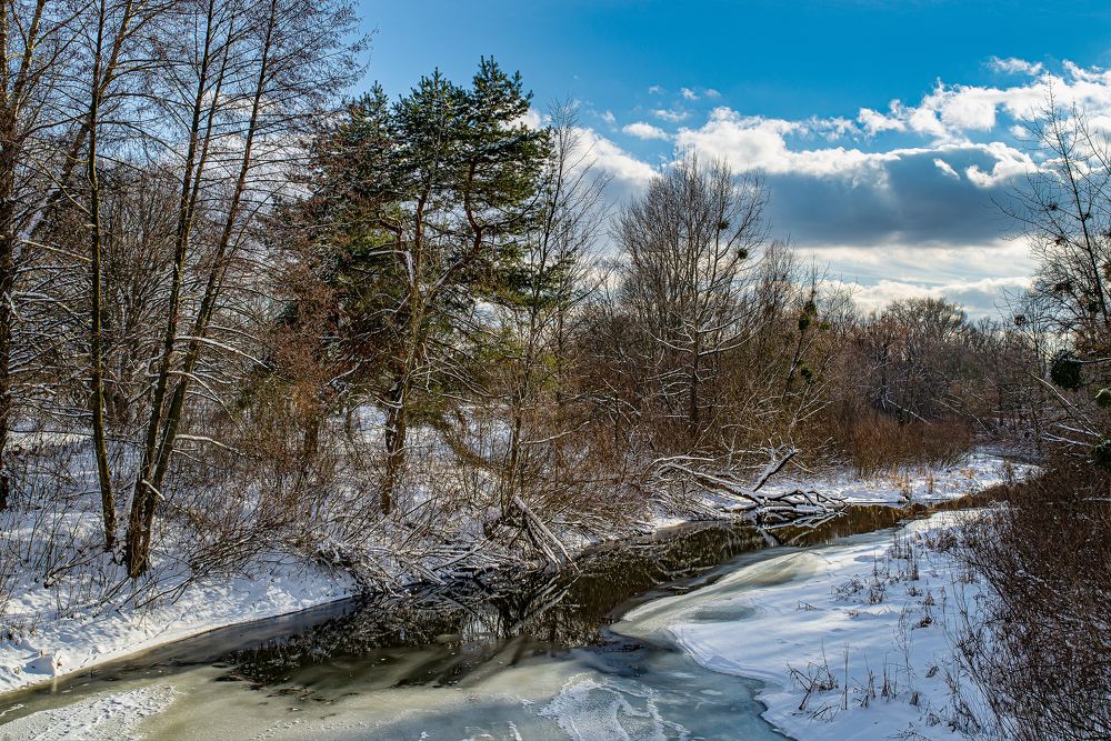 Фотография автора Oleg Utyuzh