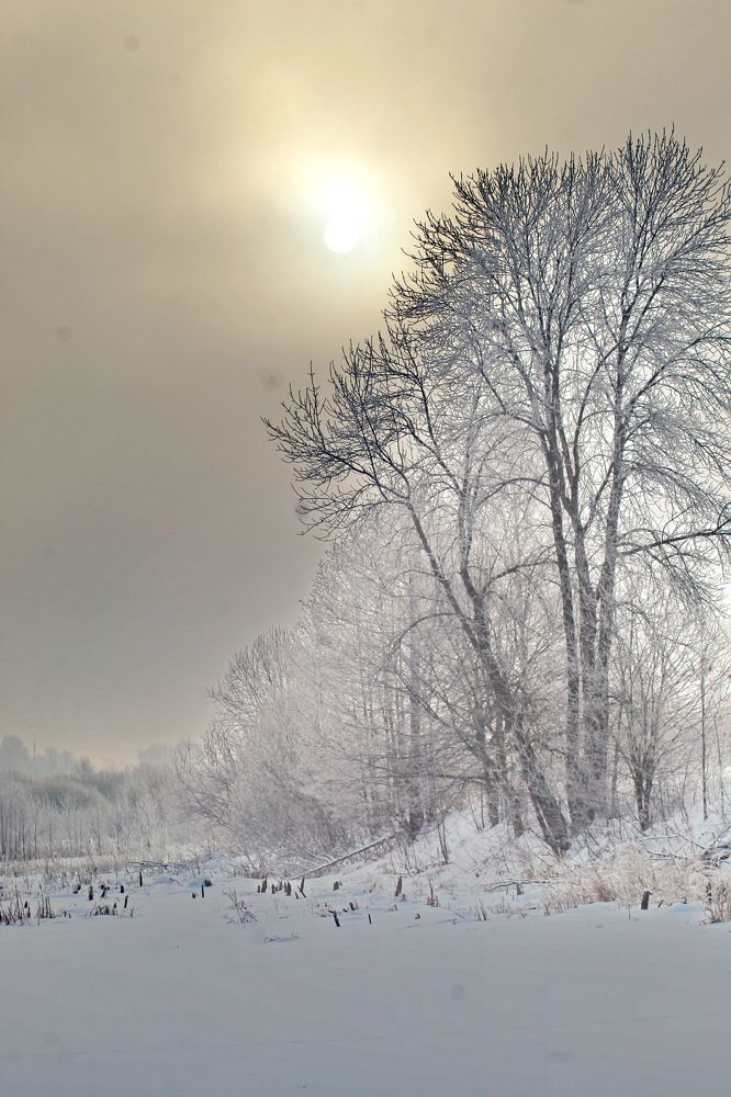 Photograph by Николай Николаевич Леухин