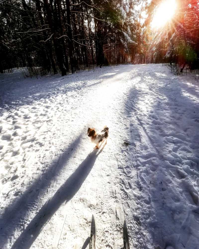 Фотография автора Павел Барский