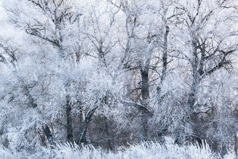 Photograph by Alexey Korolyov