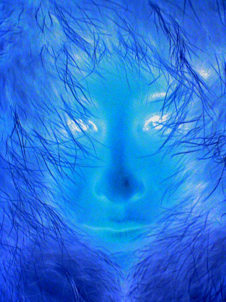 Снежная королева, The Snow Queen.