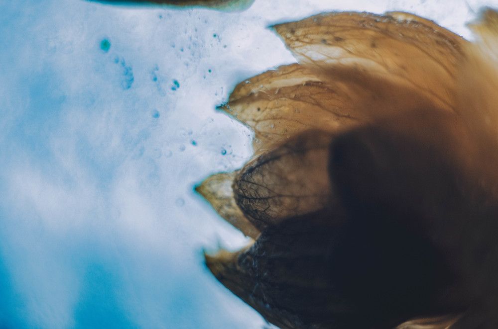 Photograph by Рафаэль Грузнов