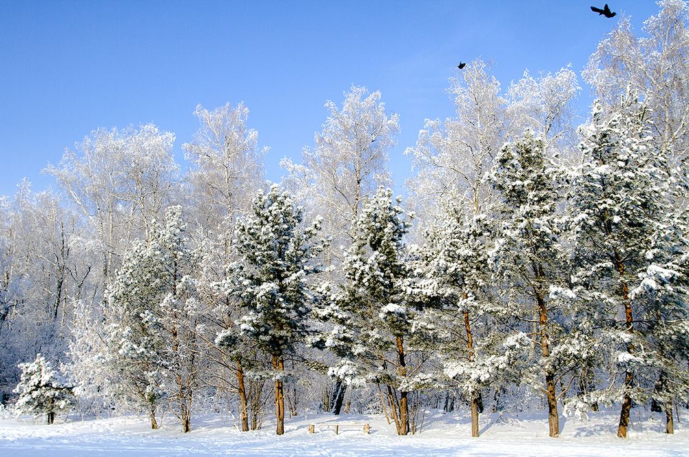 Photograph by Сергей Черных