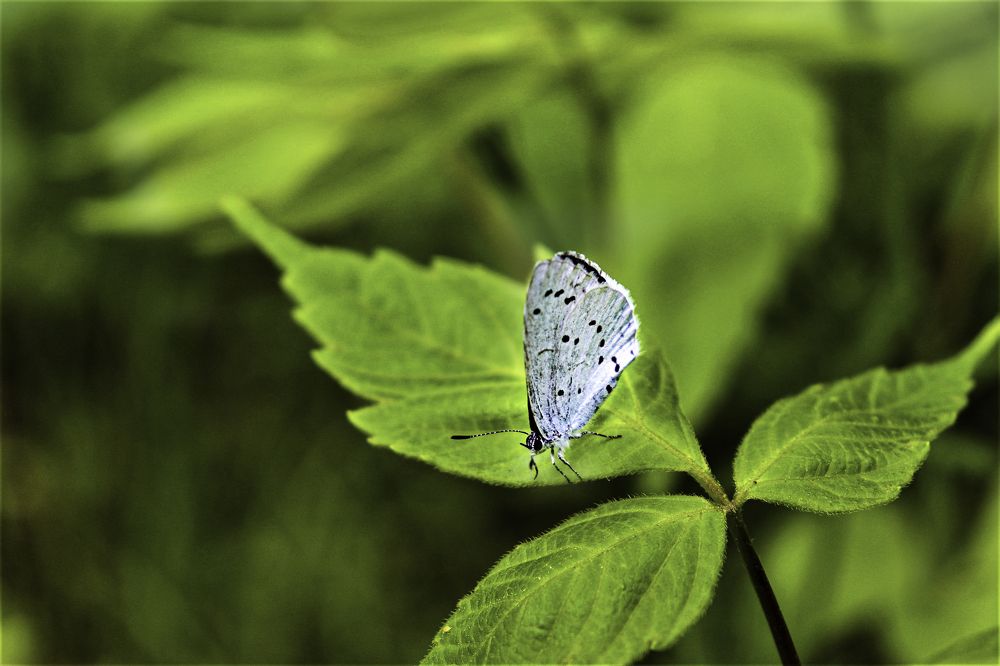 Photograph by Федоренко Элеонора
