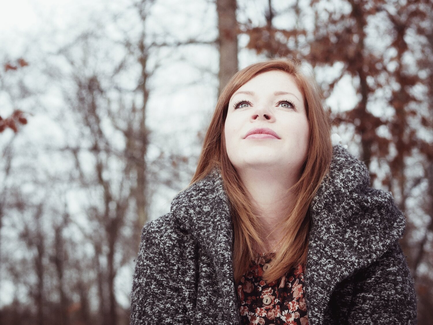 Photo #5645094