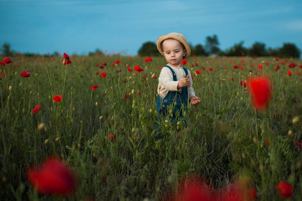 В Маковом поле