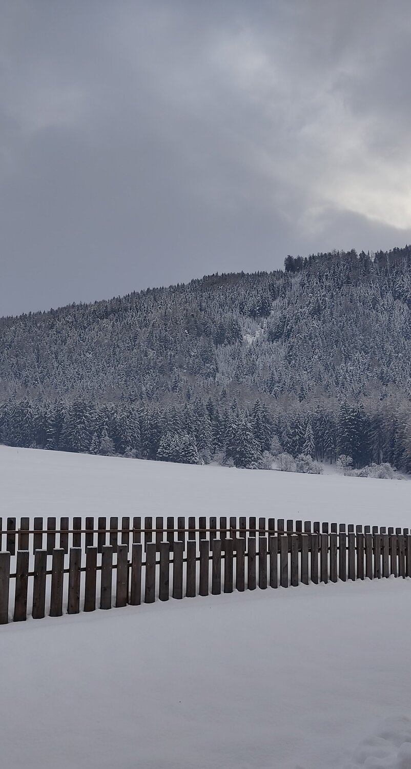 Photo #5645130