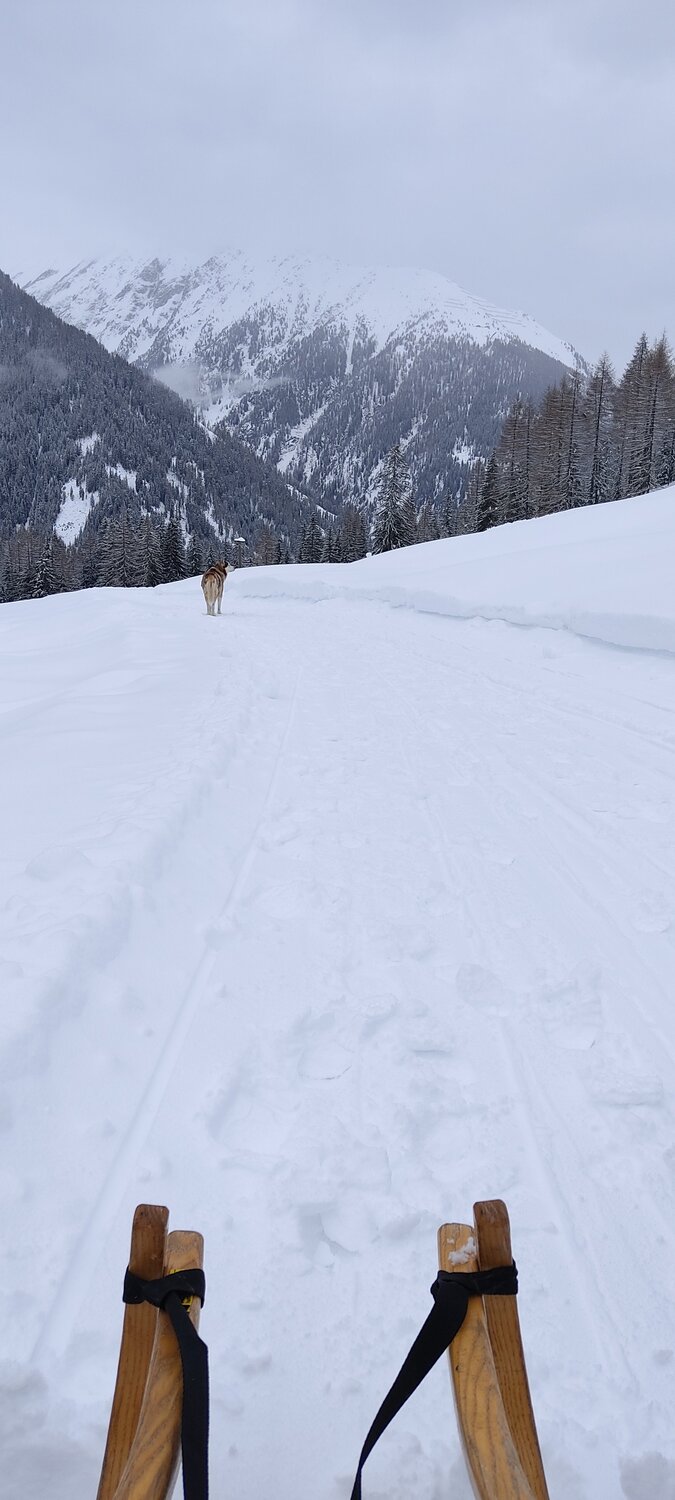 Photo #5645132