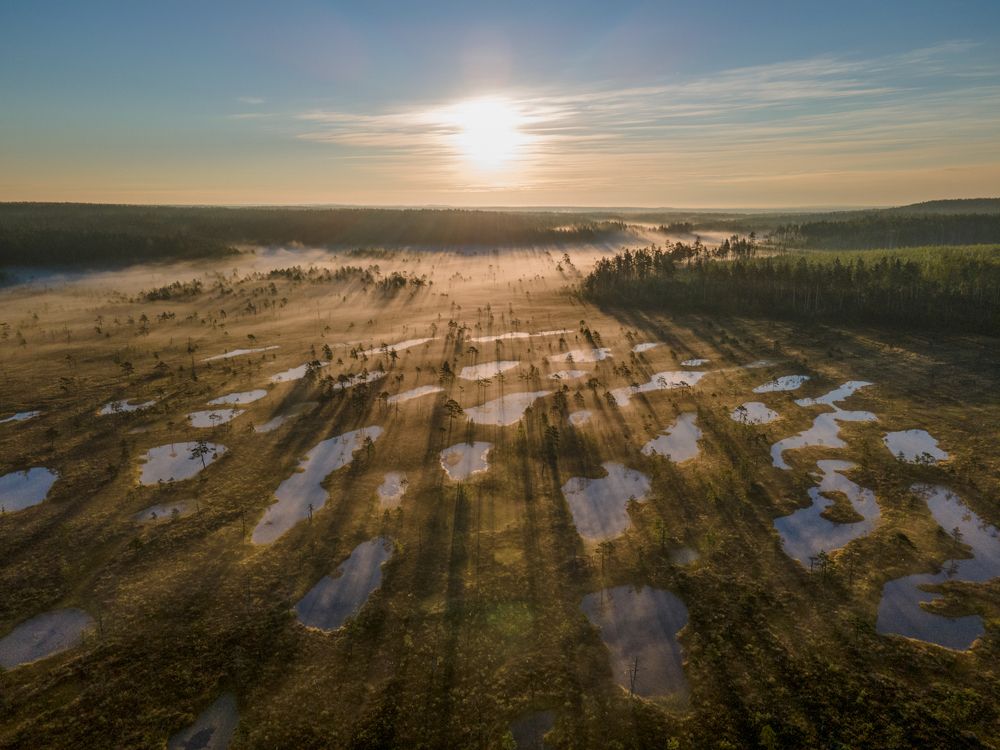 Photograph by Антон Гаврилов