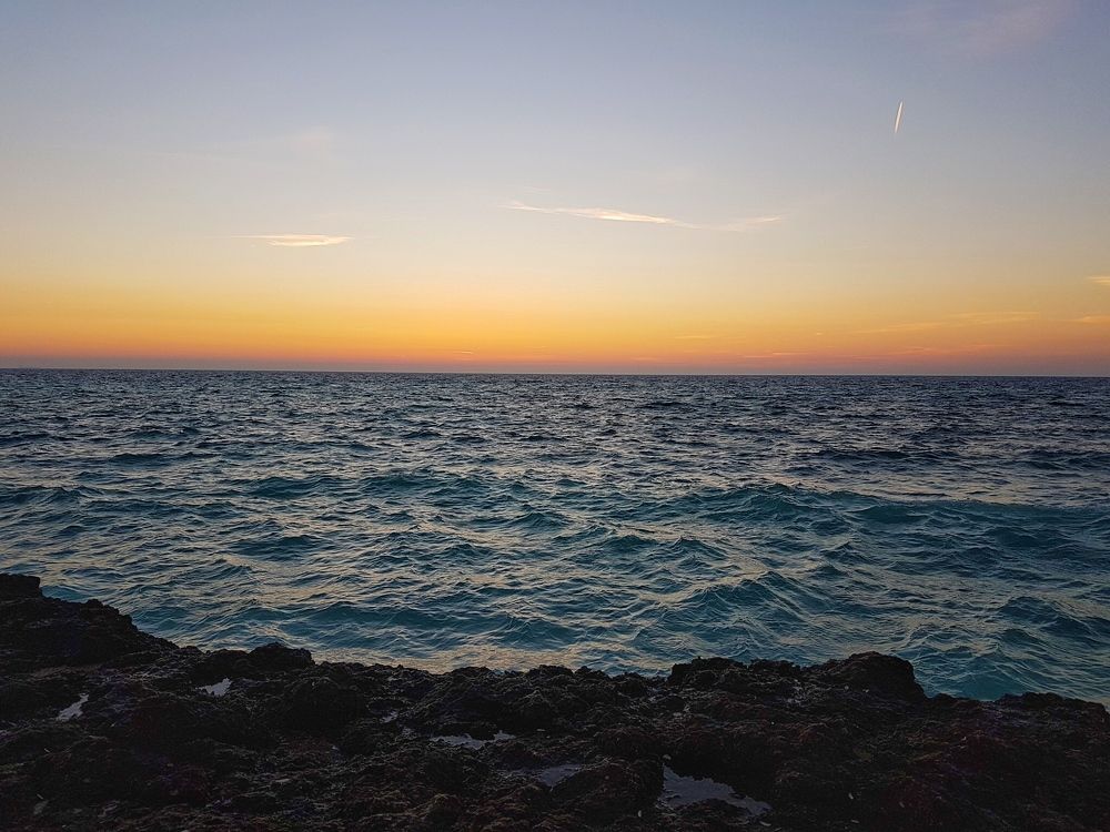 Photograph by najmeh hakimaei