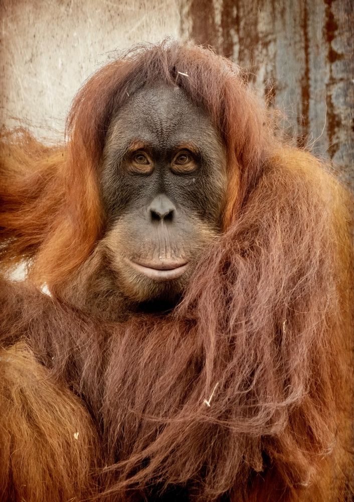 Photograph by Janet Williams