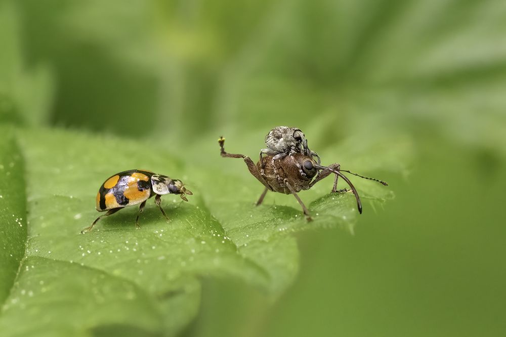Фотография автора Наталия Сытина