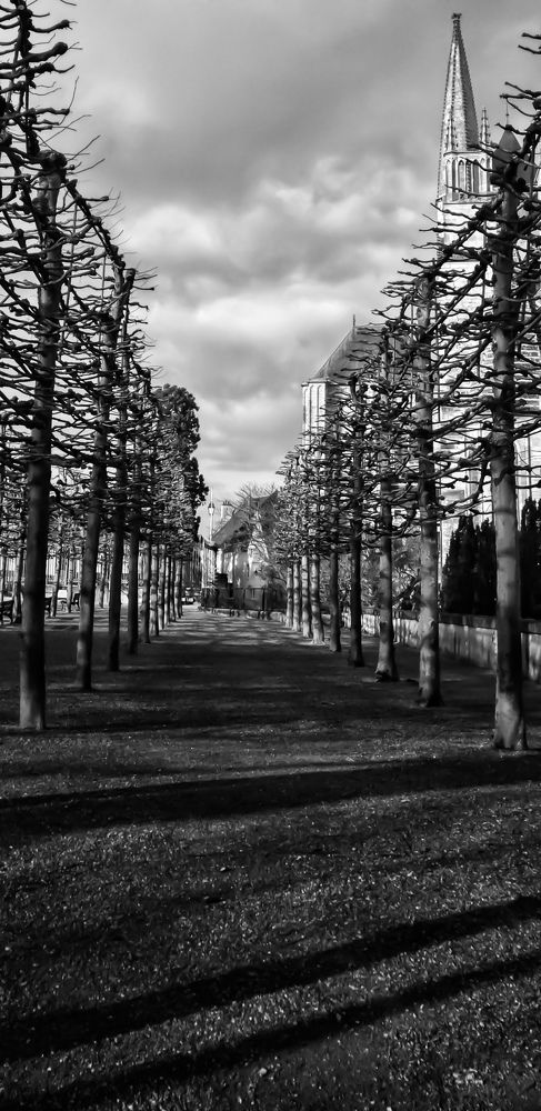 Photograph by Reem Hassan