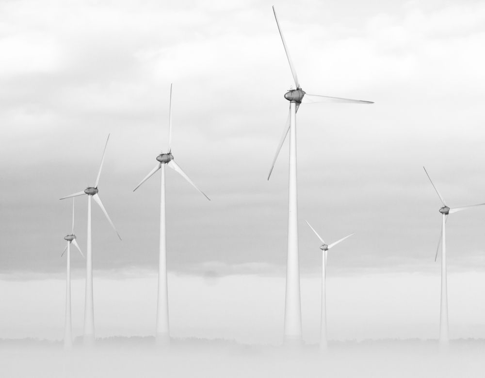 Photograph by Mindaugas Dinda