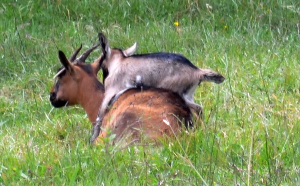 Photograph by Luis Miguel Báez Díaz