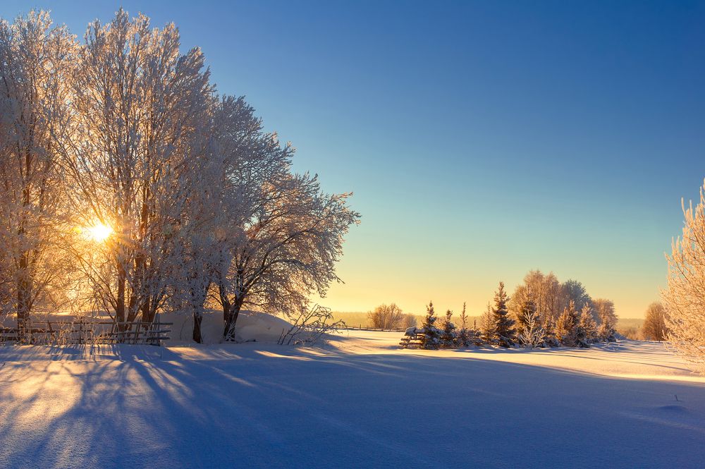 Photograph by Марина Мурашова