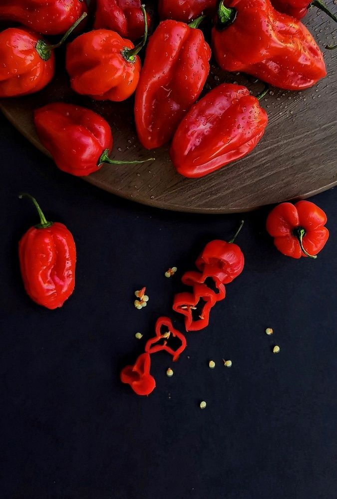 Photograph by Hind Elhassan