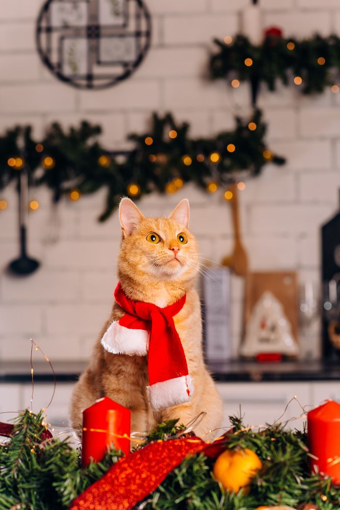 Photograph by Алевтина Коновалова