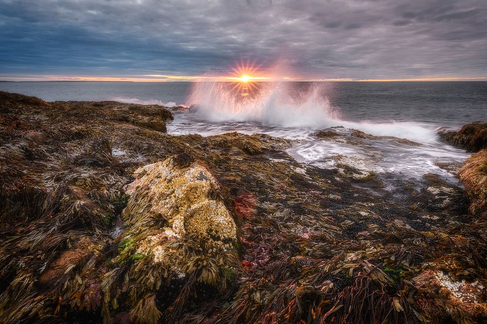 Photograph by Андрей Баскевич