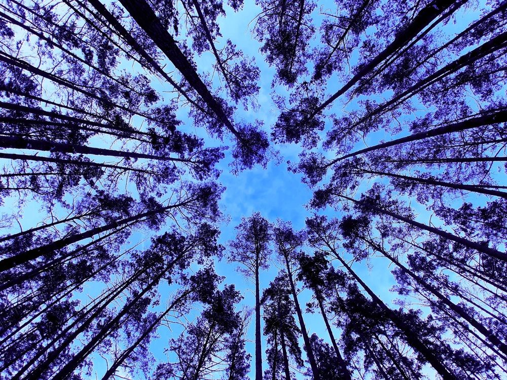Photograph by Irina Gordienko