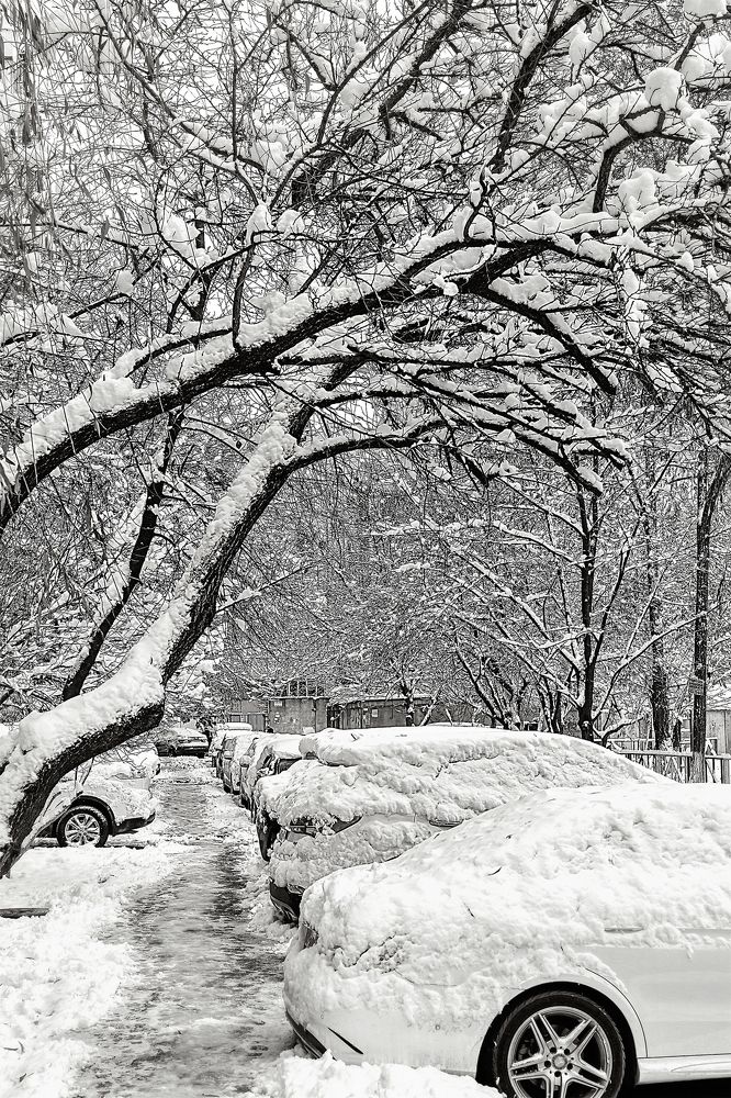Photograph by Юрий Левко