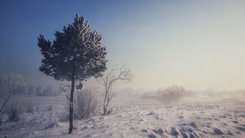 Туманное январское утро.