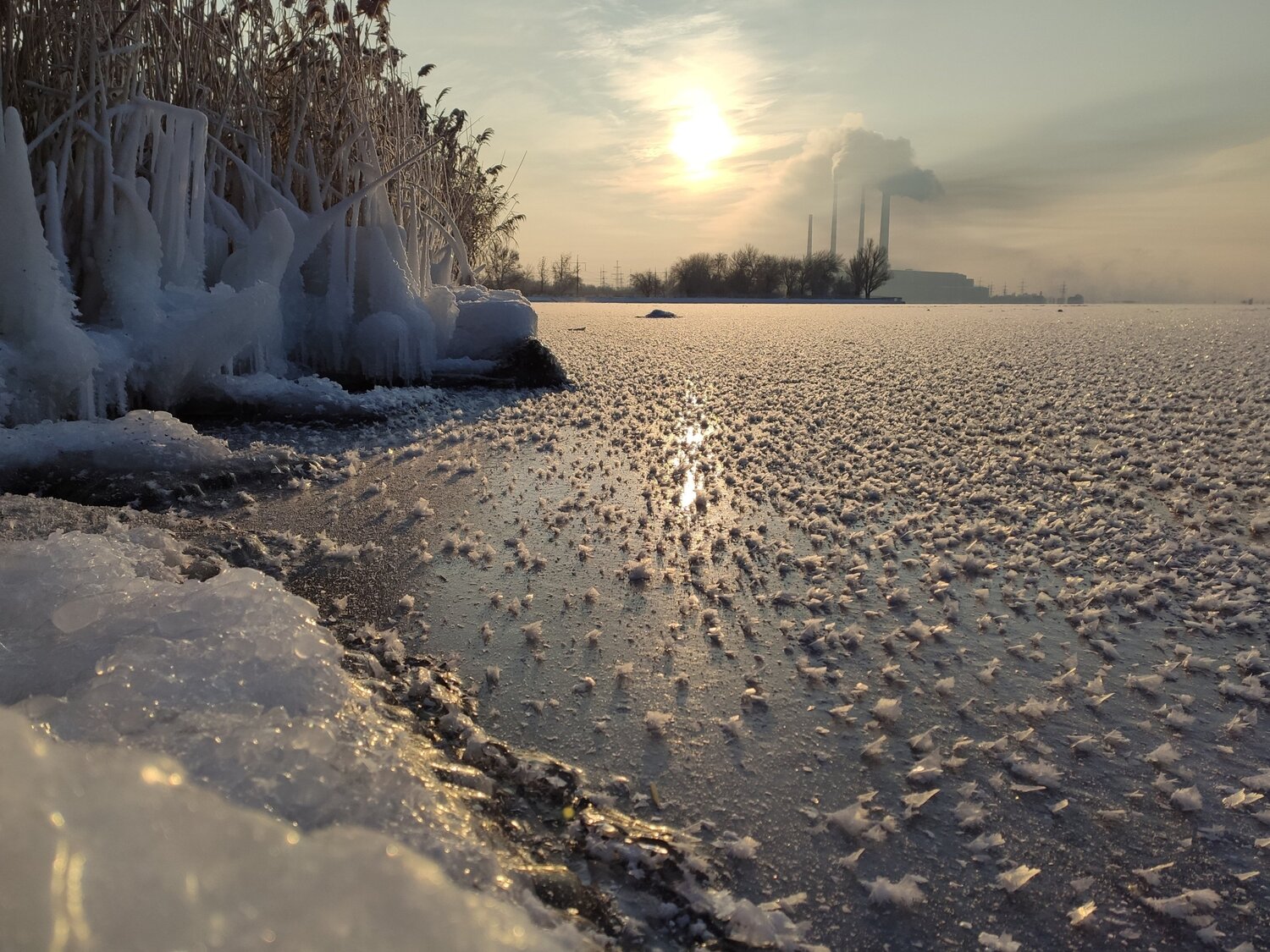 Photo #5645718