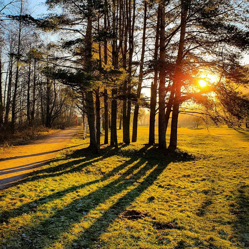 Фотография автора Inna Evseeva