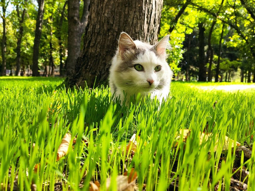 Photograph by Екатерина Ковалевская