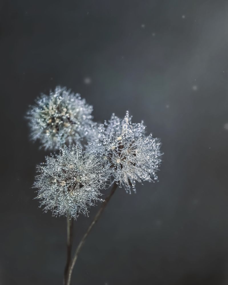 Photograph by Наталья Иванова