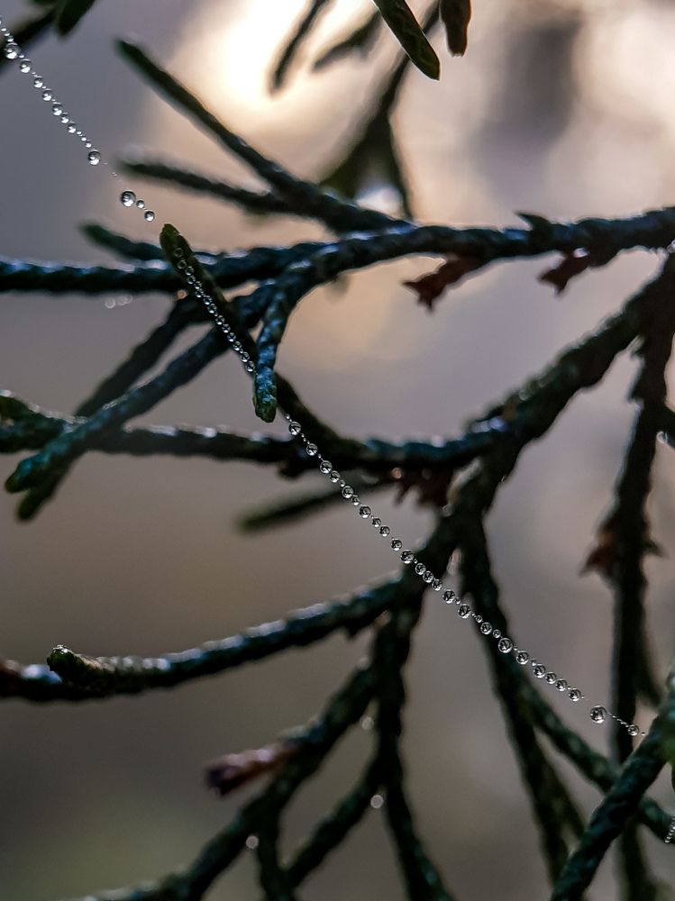 Photograph by Лариса Когтева