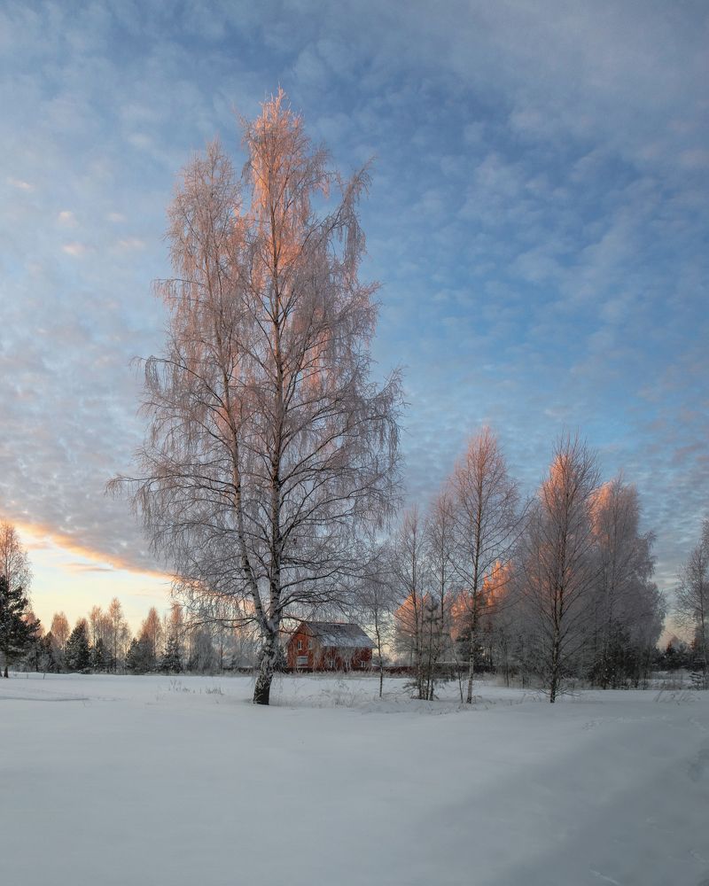 Восход. Февраль