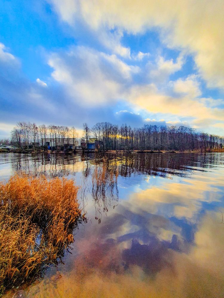 Отражение в воде.