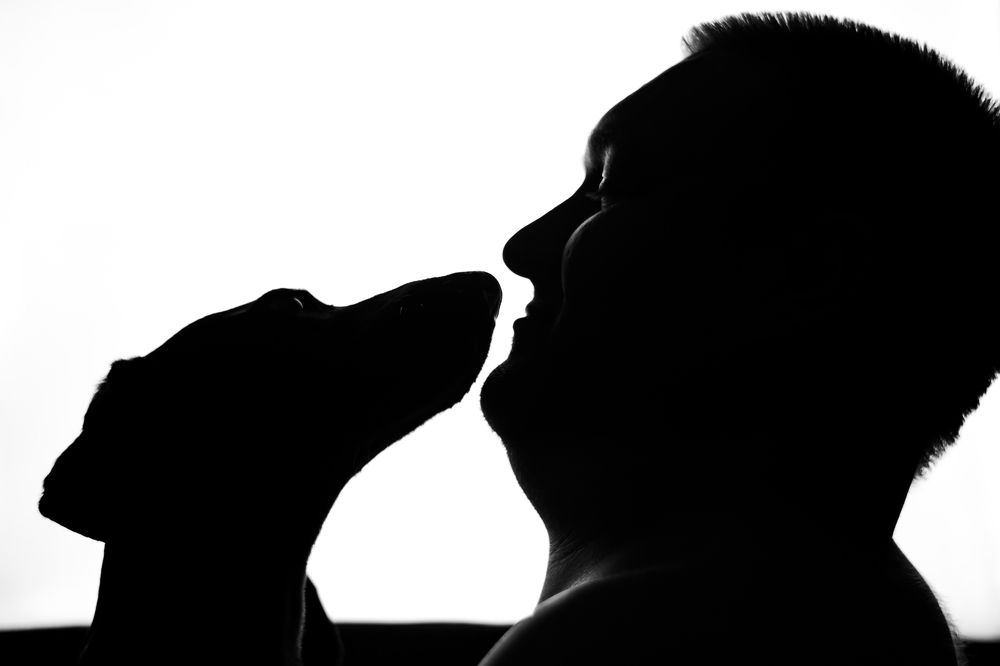 Человек собаке друг