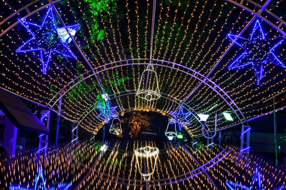 Фотография автора ANKIT GHOSH