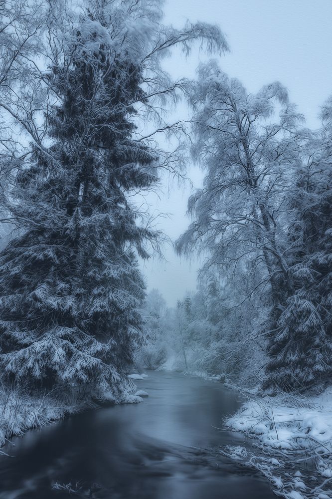 Фотография автора Aleksandr Kurnosov