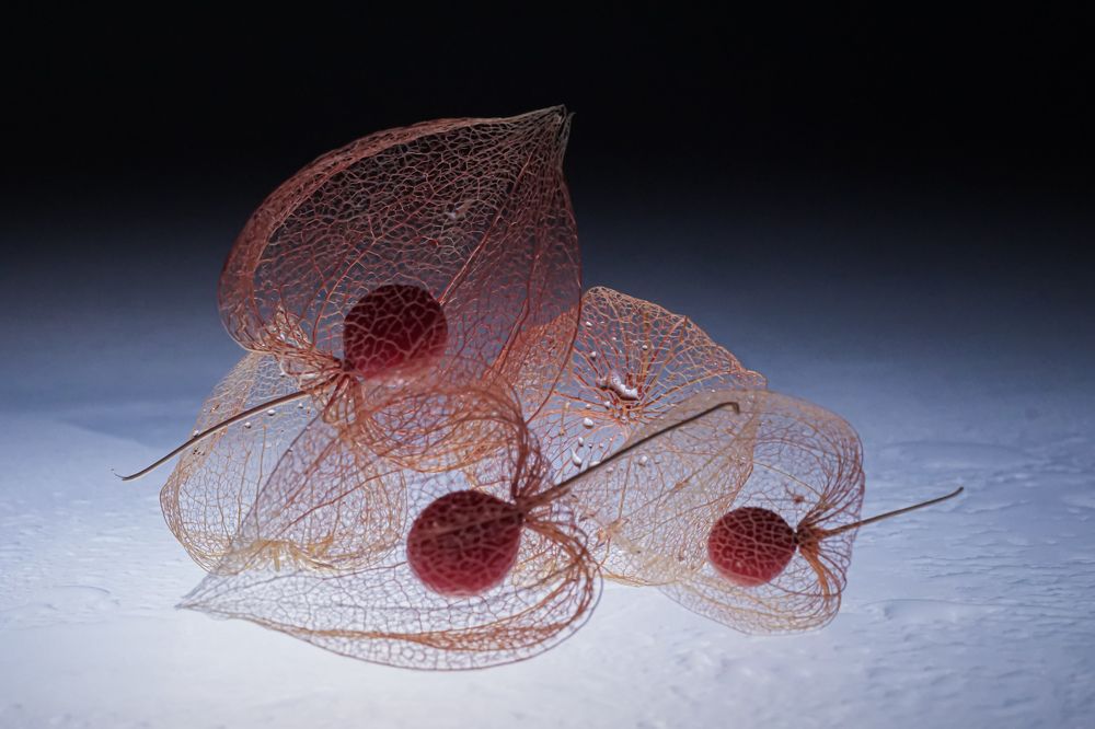 Photograph by Алеся Писнова