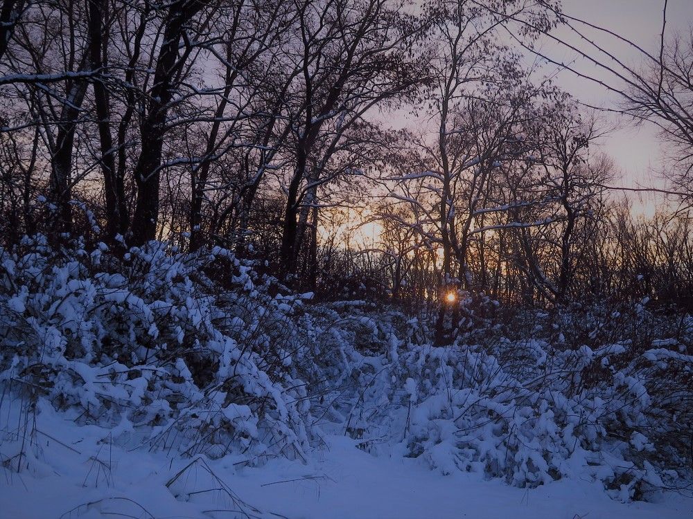 Photograph by Мария Кодун-Иванова