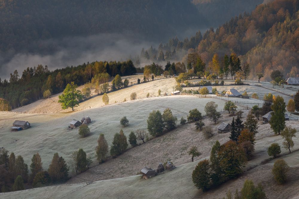 Photograph by Alex Coman