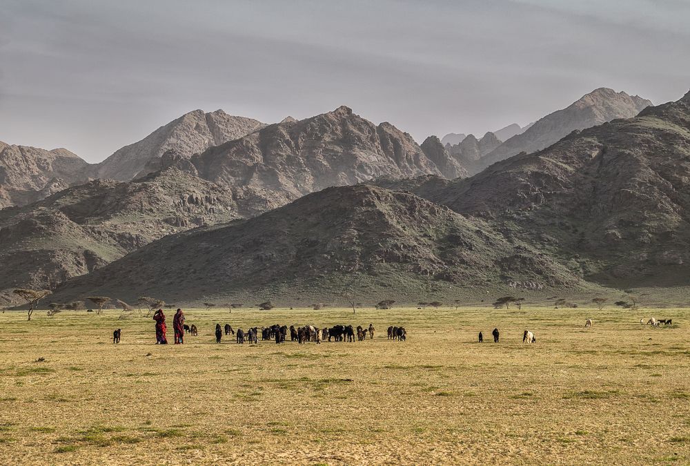 Фотография автора Sherine El Mously