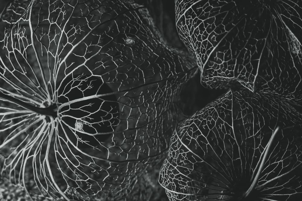 Photograph by Алеся Писнова