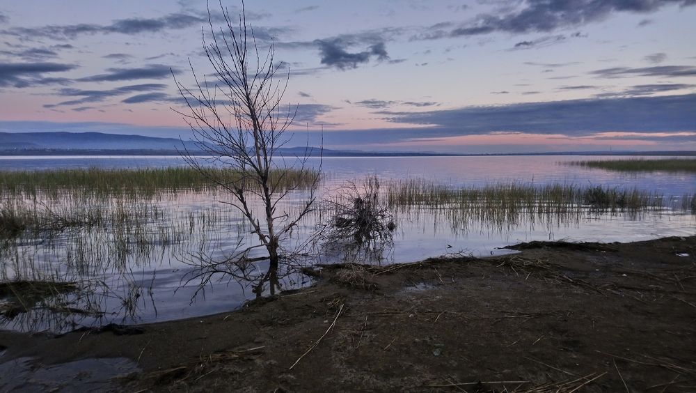 Photograph by Яна Денисова