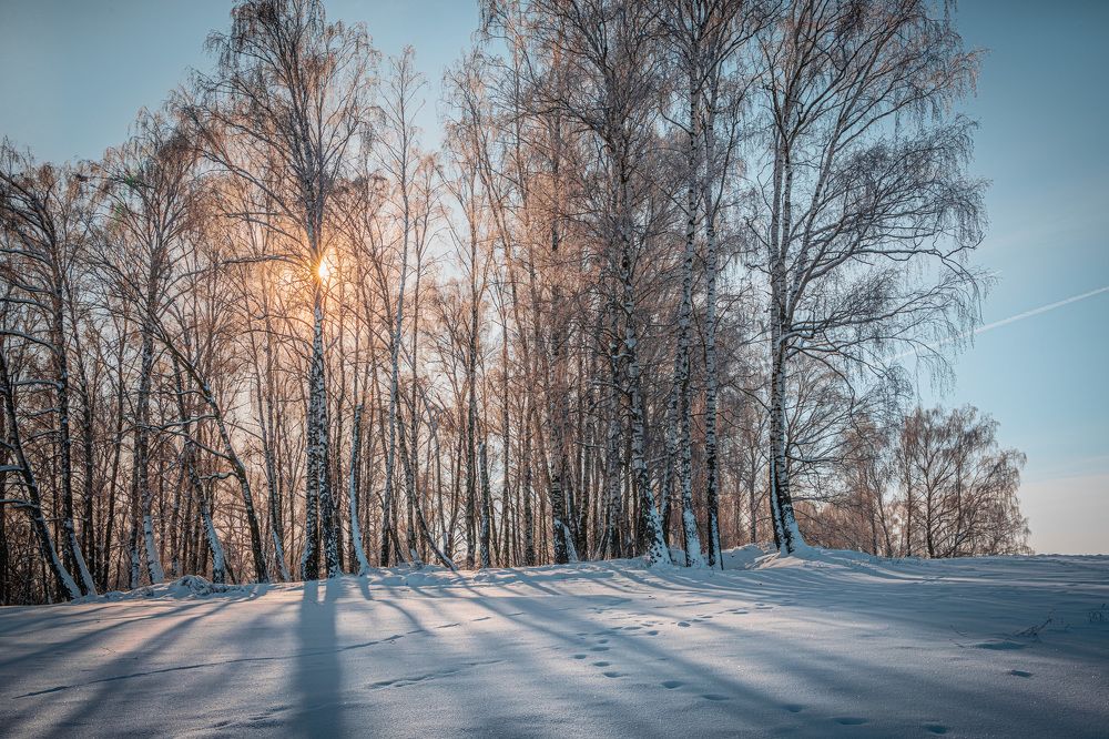 Свет и тень.