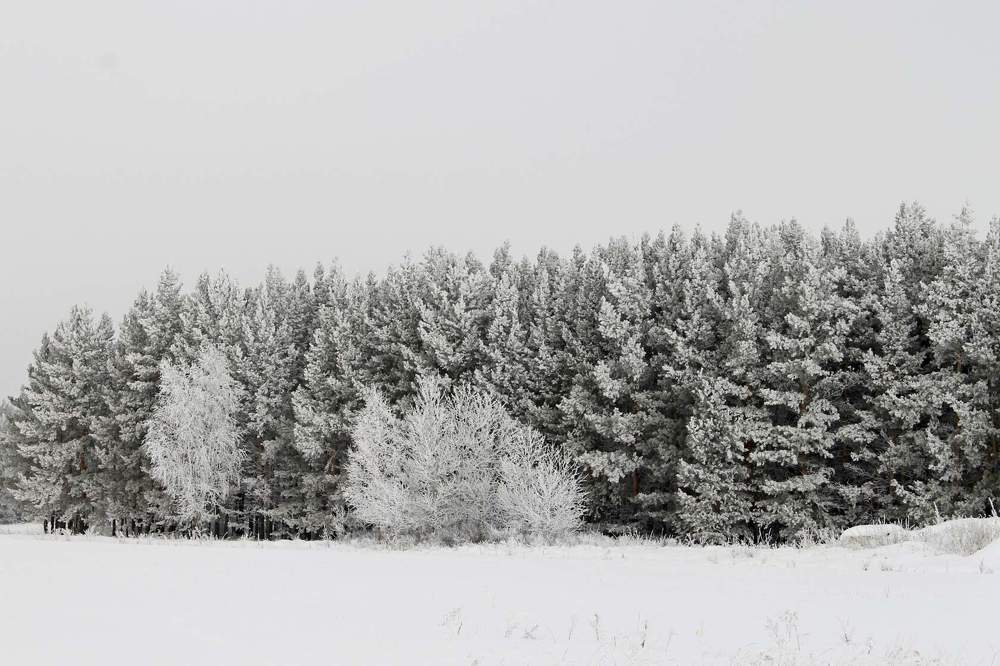 Photograph by Татьяна Перегудова