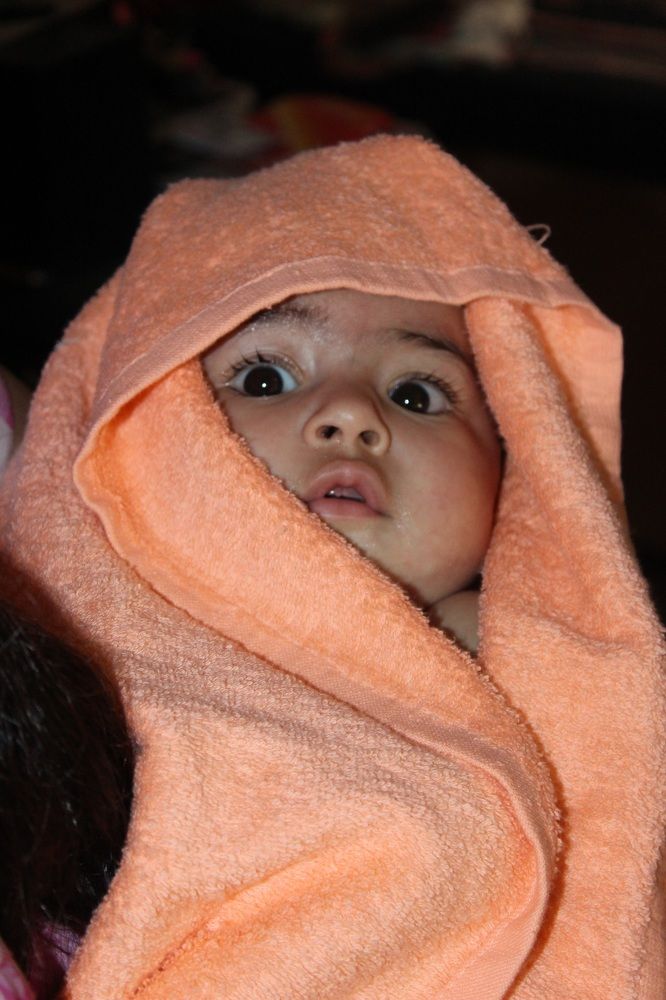 Фотография автора Pradeep Plaha