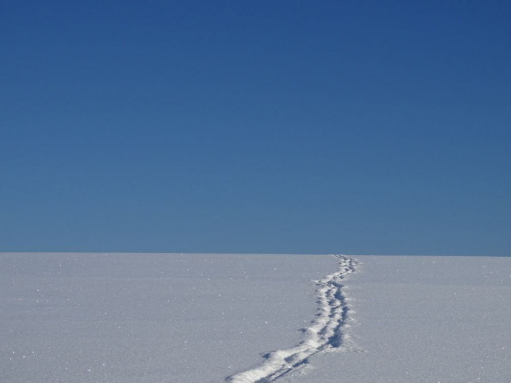 Photograph by Александр