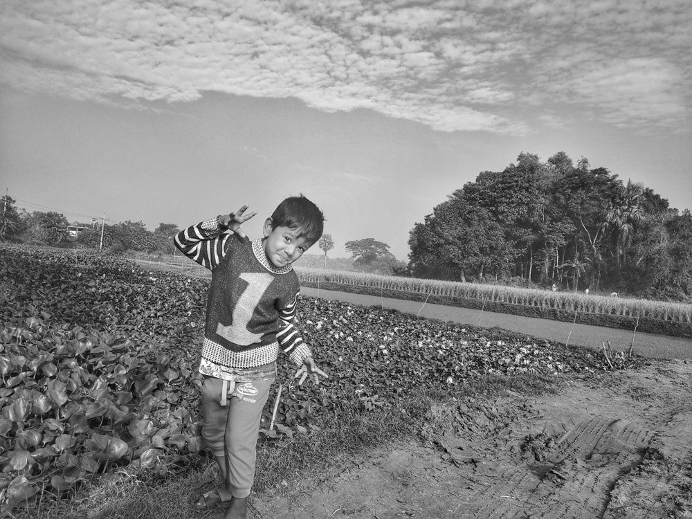Photograph by Shova